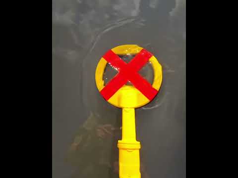 Others best metal detecting 💀