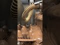 ビデオチュートリアルクイズ
