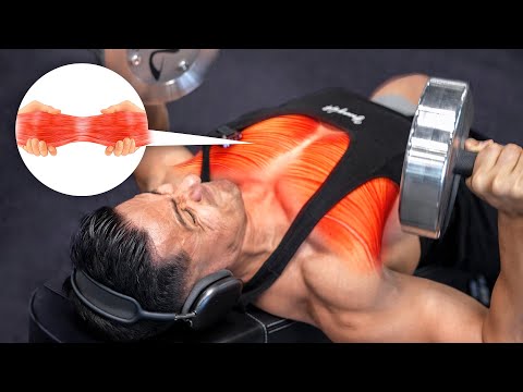 Como Ganar Musculo Lo Más Rápido Posible