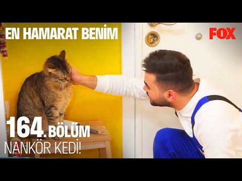 Kadir'e Beklenmedik Saldırı! - En Hamarat Benim 164. Bölüm