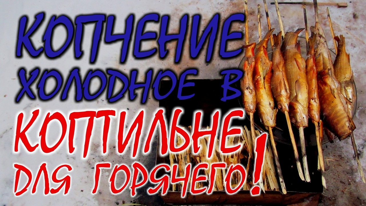 Холодное копчение рыбы в коптильне для горячего копчения