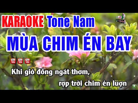 Mùa Chim Én Bay Karaoke Tone Nam 2024 | Nhạc Sống Thanh Ngân