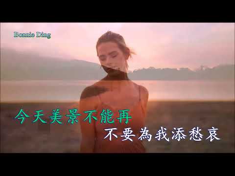 赤的疑惑 (和聲伴奏) 梅艷芳 (Karaoke 伴奏版)