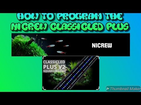 How to program the new Nicrew ClassicLED Plus V2 l In this video, I will explain the programs both default and customized. I will also show you the lig