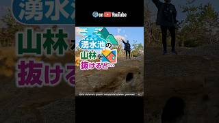 【Shorts】湧水池の山林を抜けると…