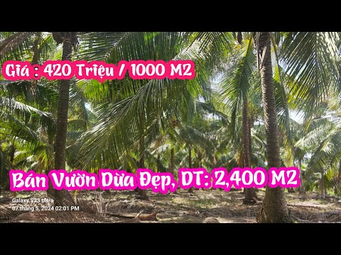 MAP ĐẤT VIỆT - MAPDATVIET.COM TẬP 2256:Bán Vườn Dừa Đẹp,DT:2,400M2,Xã Bình Ninh,Chợ Gạo,Giá:420Triệu /1000M2