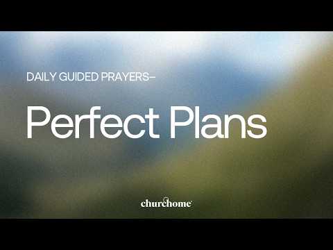 Perfect Plans