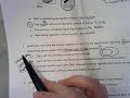 Gene Expression and Protein Synthesis