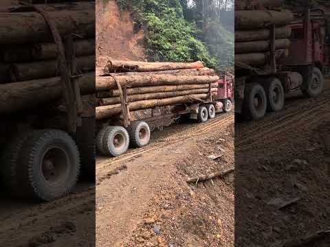 Mercedes 3836 #stewong #bulldozerofficial #offroad #excavator