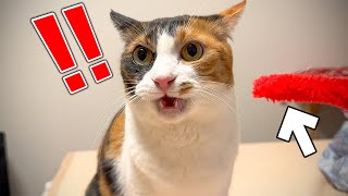 動画サムネイル