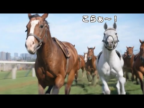 『ゴルシたちの春の大運動會』