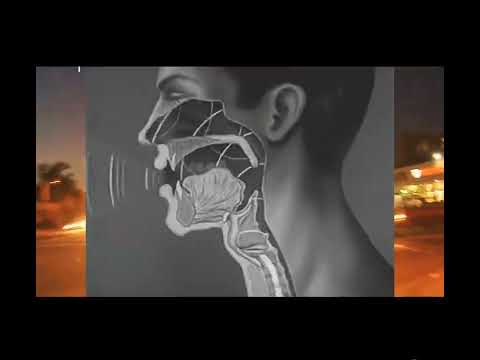 40h+ - MesserSchereLicht (Offizielles Musikvideo)