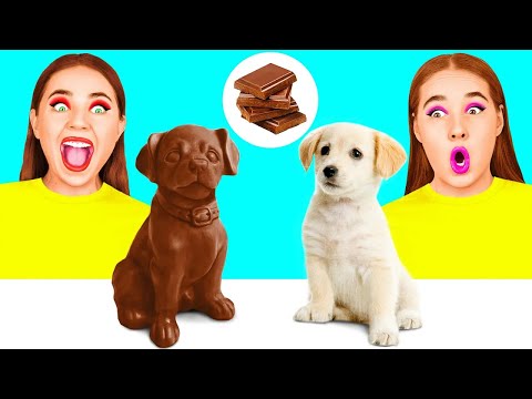Real Food vs Chocolate Food Challenge | Eating Only Sweet 24 Hours by Fun Challenge