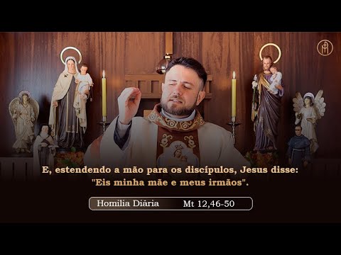 Homilia Diária | Quarta-feira - Festa, Bem-aventurada Virgem Maria do Monte Carmelo - (Mt 12,46-50)