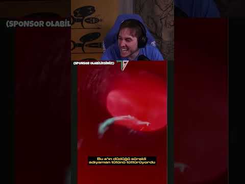 RRaenee | Bu a*ın düdüğü ASDASJDLKASJFLKASF #shorts #rraenee