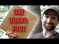 Forestry Measurement and Yield Concepts