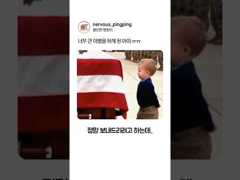 너무 큰 이별을 하게 된 아이 ㅠㅠ