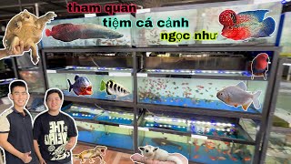 Tham quan Tiệm Cá Cảnh Ngọc Như, ngắm nhìn rất nhiều loại Cá Độc Lạ và Thú Cưng đẹp / Bảo pet