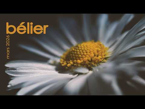 BELIER - Mars 2026 ~ On tourne autour du pot !