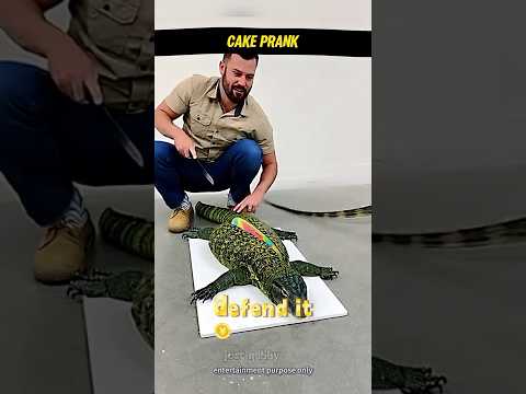 Animal cake prankโthe reaction is priceless ๐๐พ #pet #foryoupage #funnyvideos #fyp #happy