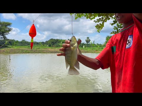 Best Fishing By Hook | Village Boys Catching Fish With Hook In Pond