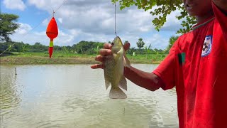 Best Fishing By Hook | Village Boys Catching Fish With Hook In Pond