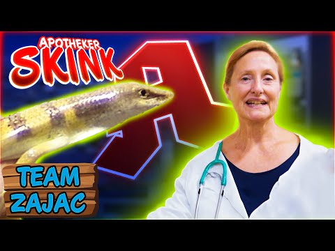 SANDFISCH oder APOTHEKER? | Zoo Zajac