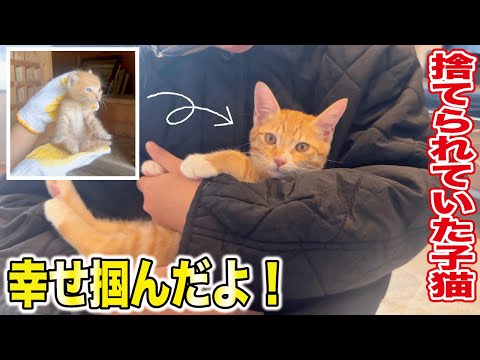 実家の前で急遽保護した子猫がずっとのお家に出発！