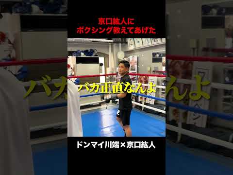 ドンマイにボクシング教わった結果…