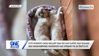 Cute moments sang mag-BFF nga ido kag kuring sa Iloilo City | One Western Visayas