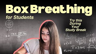 Study Smarter: 5-Minute Breathing Break for Focused Students