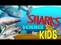 Shark Biology and Behavior