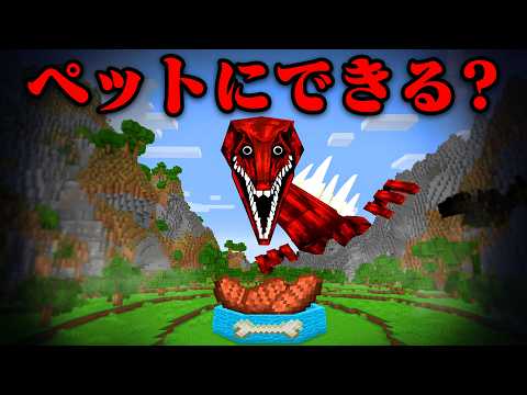 『生きている臓器』はペットとして飼える?【まいくら・マインクラフト】
