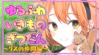 【 雑談 】 リスについてゆるく雑談したい、そんな気持ち 【 #個人Vtuber #生き物 #リス  】