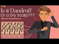 Dandruff and Scalp Care