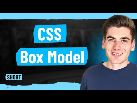 Learn CSS Box Model In 1 Minute | LaptrinhX