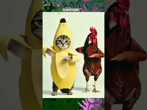 Enjoy the dance 👌#dancemoves #dance #dancevideo #babydance #baby #shotsvideo #shorts #arts_forever