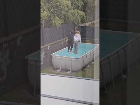 #юмор #прикол #смешныявідэа #волейбол #футбол #rek #funny #топ #comedy #basketball