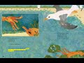 Exploring the Adventures of the Escaping Octopus