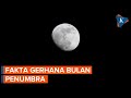Penumbral Lunar Eclipse Observations