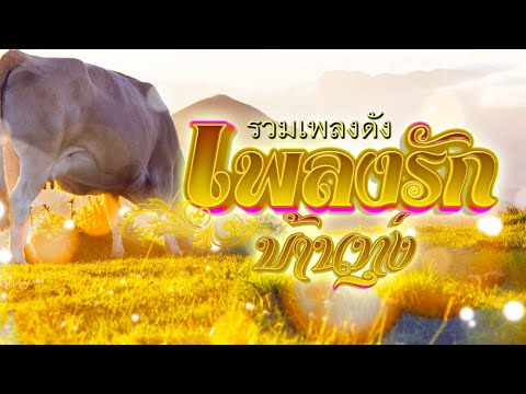 รวมเพลงดัง เพลงรักบ้านทุ่ง
