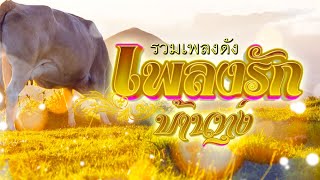 รวมเพลงดัง เพลงรักบ้านทุ่ง