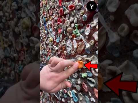 everyone sticks there bubble gum here