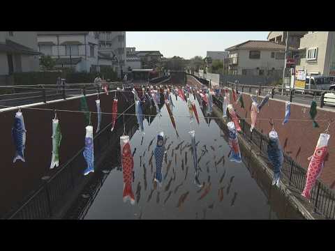 こちら浦安情報局#917「健康は毎日の食事から」