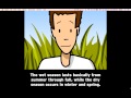 Everglades Ecosystem and Conservation