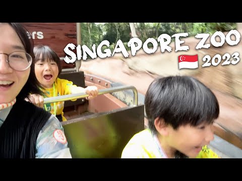 シンガポール動物園に行ってきた🇸🇬 Singapore Zoo 2023 シンガポール Singapore 2023#3