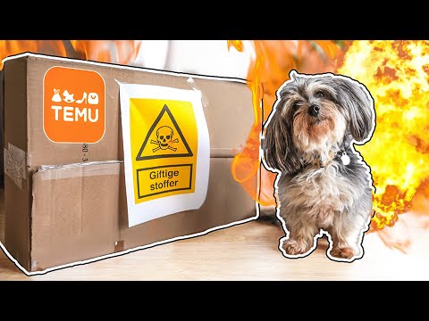 Min hund er blevet YouTuber! (Sketch)