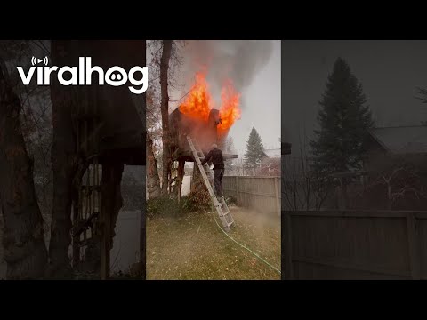 Attempt to Evict Raccoons From Treehouse Goes Awry || ViralHog