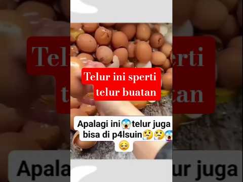 TELUR INI BUATAN ATAU TIDAK BELUM TAU