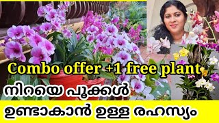 🔥Best Orchid Fertilizer for Blooming.Boost Flower Growth Fast.Low rate Orchid combo offer #orchid
